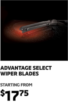 Advantage Select Wiper Blades
